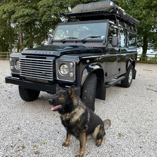 Black Land Rover Defender 110 with German Shepherd dog standing by 